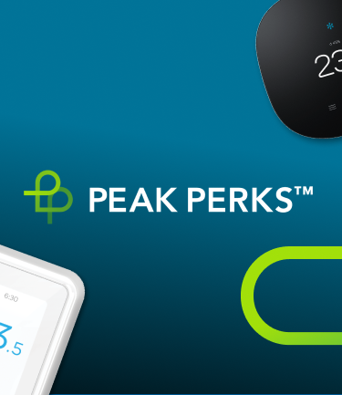 Peak Perks campaign brand lockup on a teal background with thermostat product imagery, showcasing the program name and visual identity.